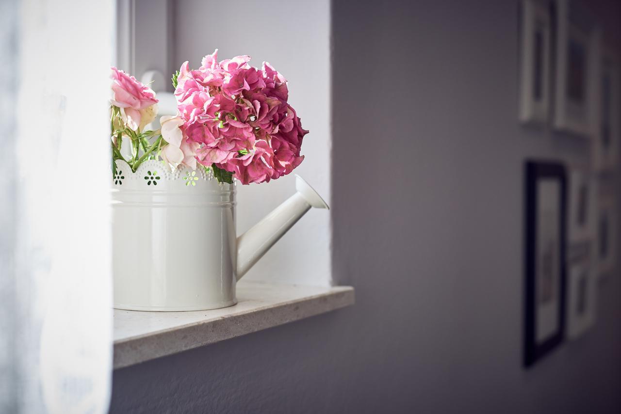Apartments Tonka トロギール エクステリア 写真